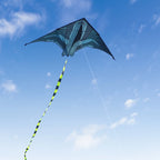 Yongjian 2m Aircraft Kite Delta Kite Suitable for outdoor camping with large adult kites Beach Camping Activities